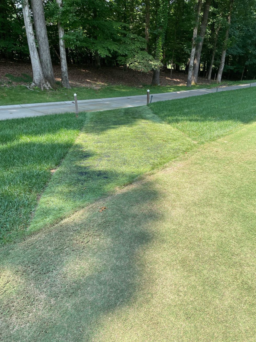 Golf Club of Cart Paths Watershed Geo