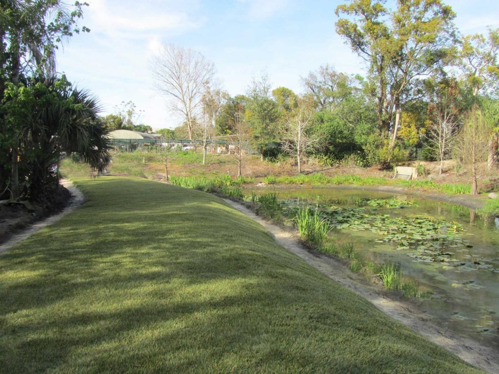 Mead Botanical Gardens Watershed Geo