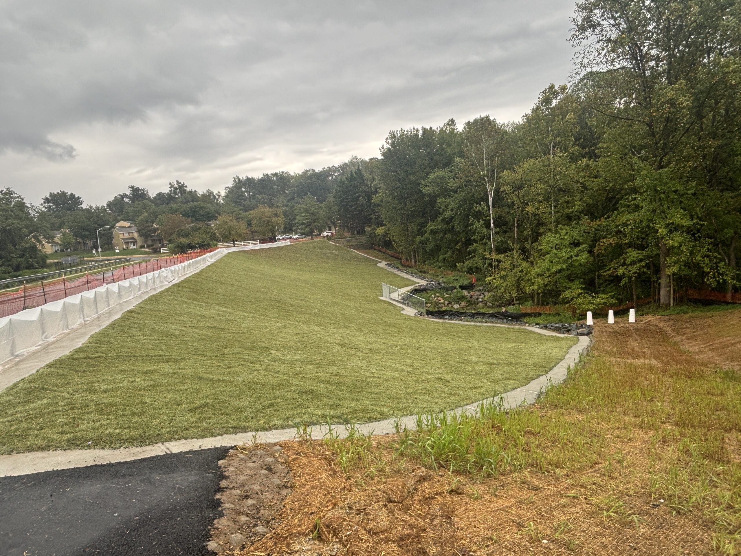 Summerfield Pond HydroTurf