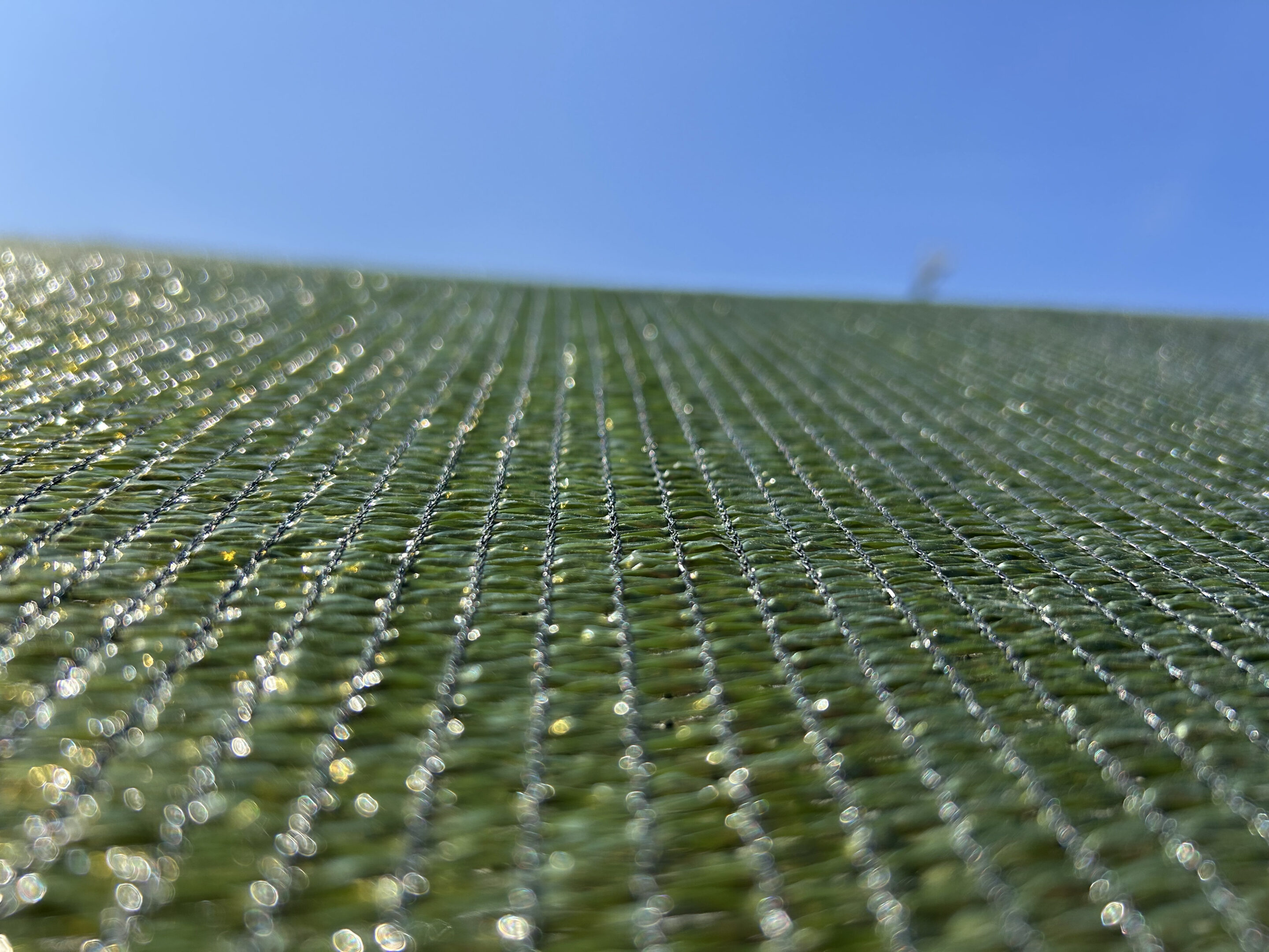 20250808 151221554 iOS